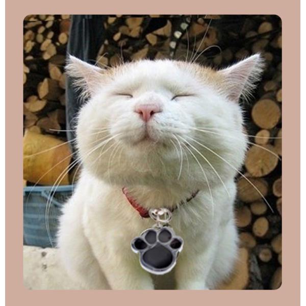 Paw Shape 25mm Dog Identification Tag Pendant Noiseless Dog Tags