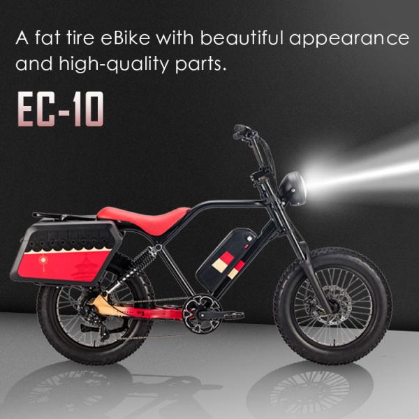 250W 750w Elektrische Fiets Bicycle Battery 48v 20AH Fat Tire For Adults