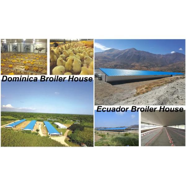 Окрашенная стальная конструкция птицекомнат