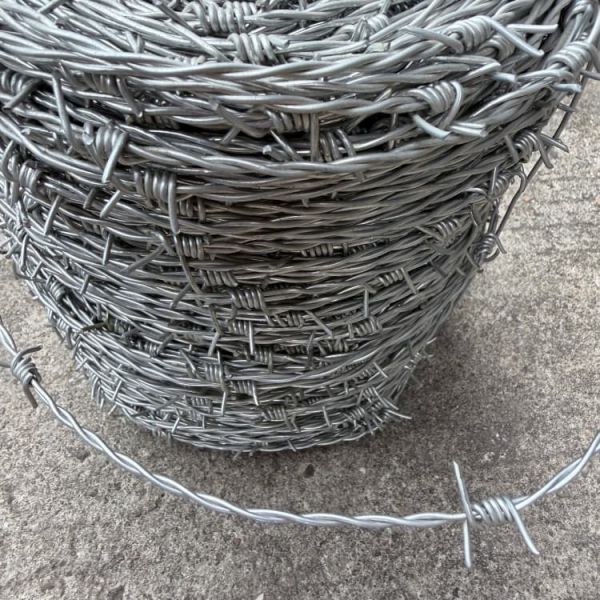 Reverse Twist Barbed Wire, Double Strand Prison Fence 4 Inch Barb Spacing