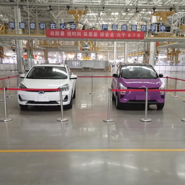 Raysince China Supplier electric mini vehicle 3 doors 4 seats Wholesale cheap price new energy car for hot sale
