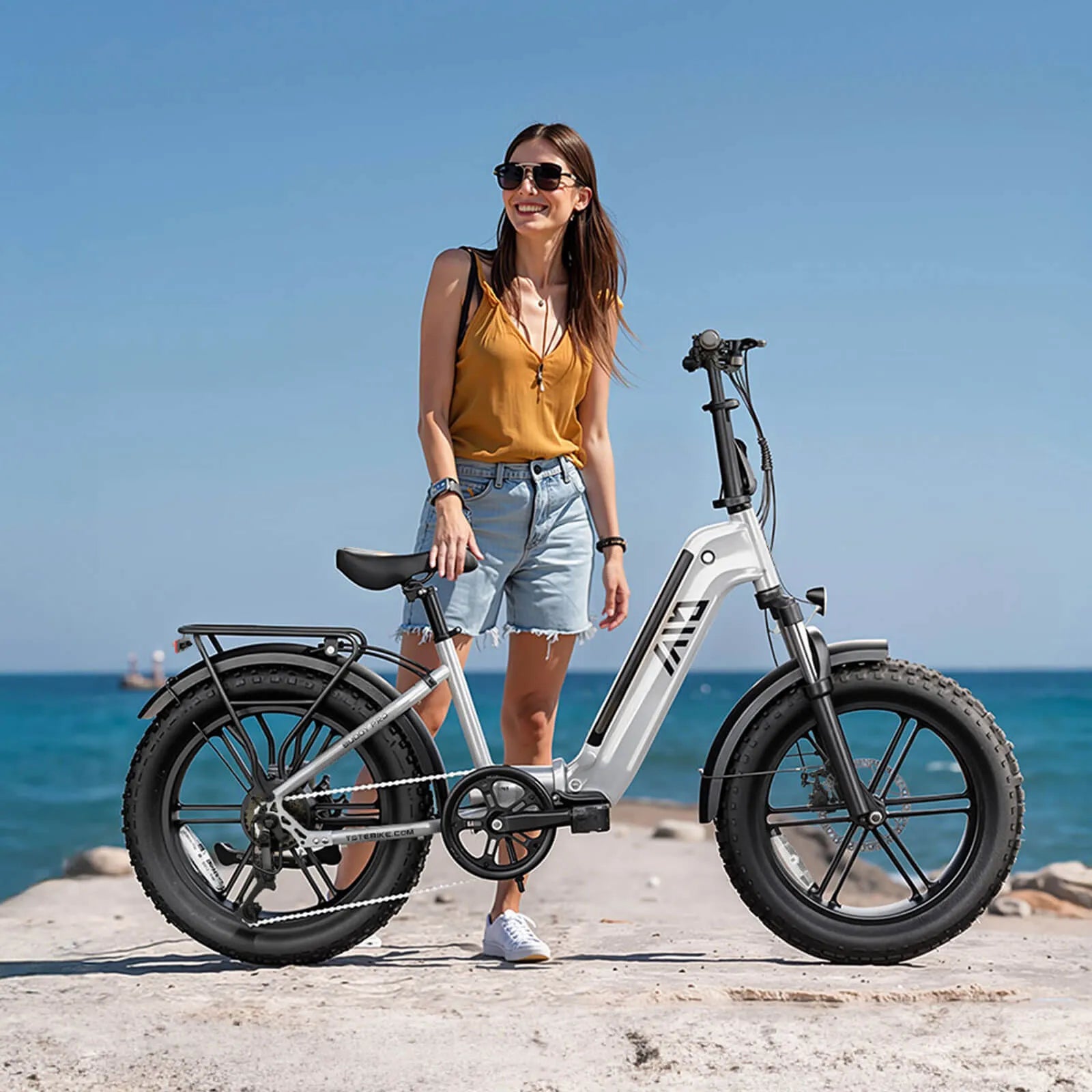Hot Selling TST 250W Powerful Steel Frame Electric Hybrid Folding Bike for Teens Electric Bike Adults Bicicleta Foldable Ebike