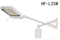 Luzes cirúrgicas portáteis do exame fixadas na parede para clínica dental/veterinária