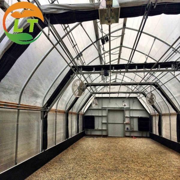 Invernada para cogumelos 4,5 m 6 m Altura superior e ventilação do telhado