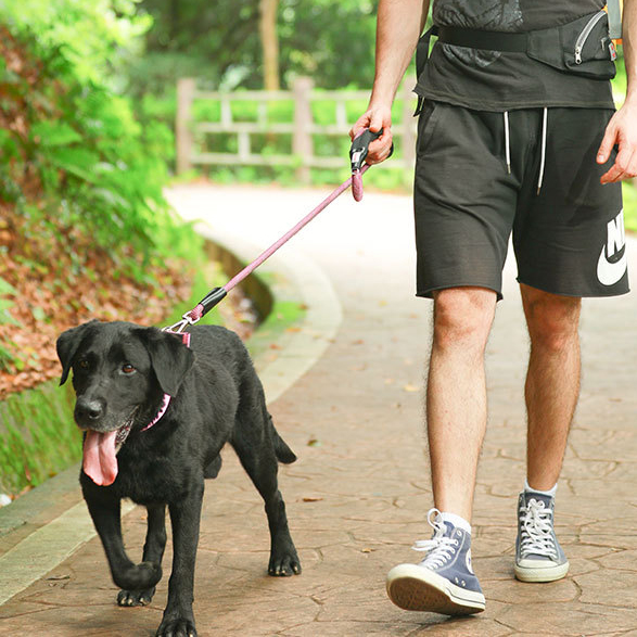 Purple Dog Walking Leash Colorful Pet Walk Running Nylon Slip Lead Double Rope