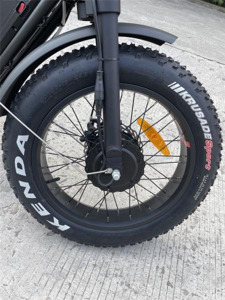 48V 150W Dual Motor Fat Tire Electric Bike Hydraulic Disc Brakes Ebike For Adults