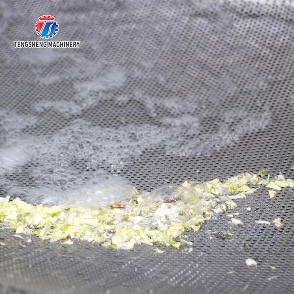 1000KG/H Vegetable cleaning equipment 304 stainless steel eddy current vegetable washing machine vibration drain machine