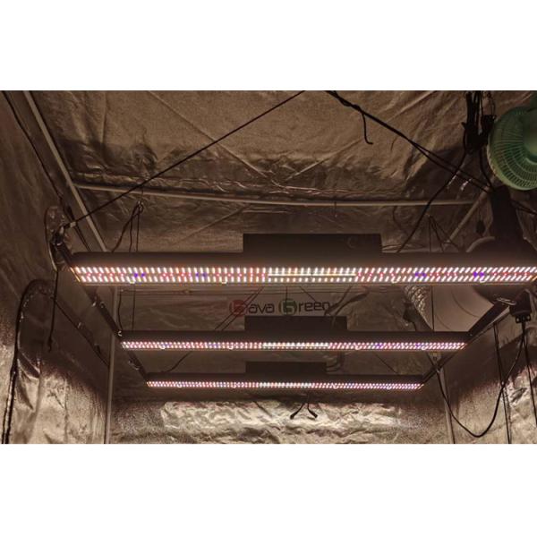 Адвокатура света спектра водителя 600W 5000k 385nm Sosen УЛЬТРАФИОЛЕТОВАЯ полная для крытого овоща