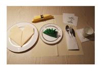 toalhas de mesa de papel superiores do filme do PE 2ply descartáveis para o aniversário