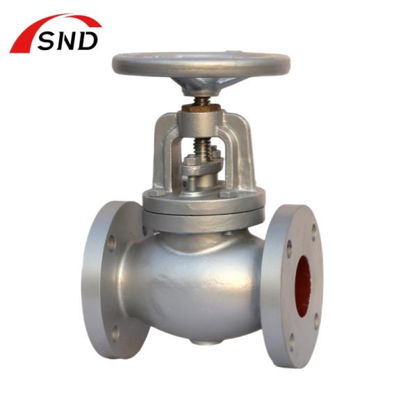 Cast Iron Corrosion Resistant Globe Valve For Chemical Industry