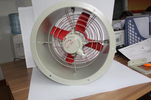 Explosion-Proof Oscillating Fan | ATEX Certified | Wide-Angle Airflow for Hazardous Industrial Cooling