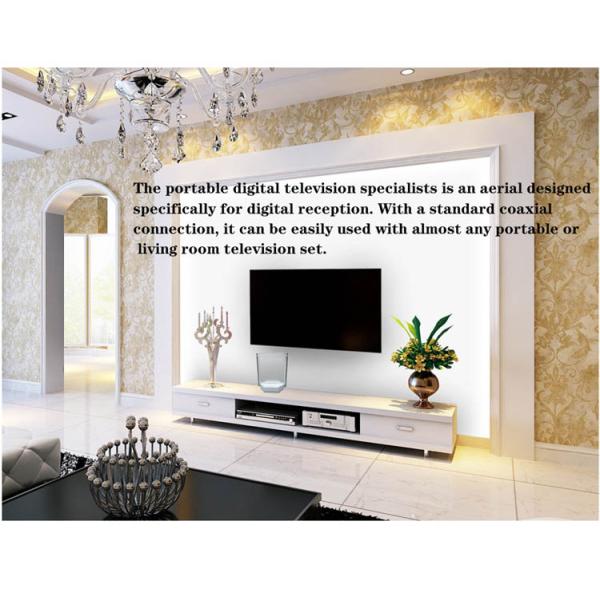 Телевизионная приставка ELLIES Телевизионная антенна Антенна с кроличьими ушами