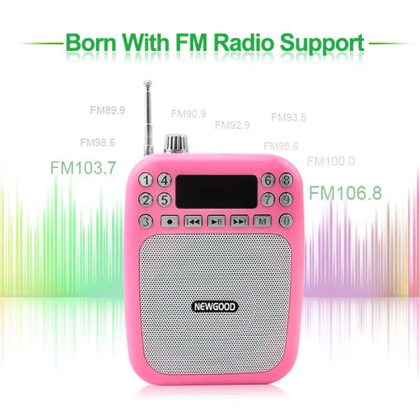 teachers voice amplifer speakers with FM radio and voice recording support