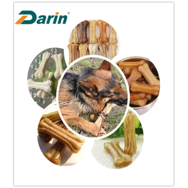 Cão que mastiga o osso de cão dos petiscos que faz a máquina, equipamento de processamento dos alimentos para animais de estimação