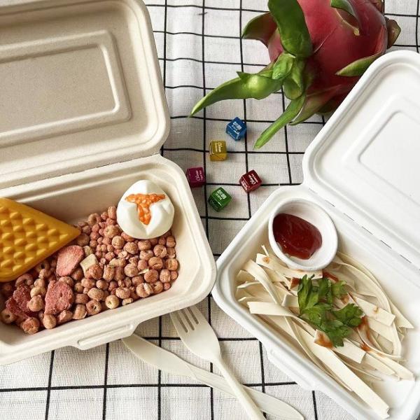 600ml Lunch Biodegradable Bagasse Tableware Disposable Takeaway Containers