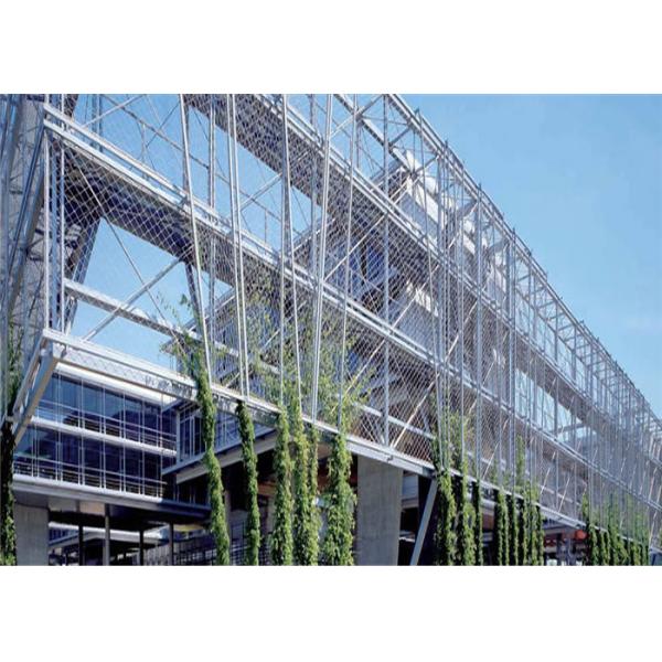 40mm*40mm Hole Size SS316 Stainless Steel Rope Mesh Green Wall For Plant