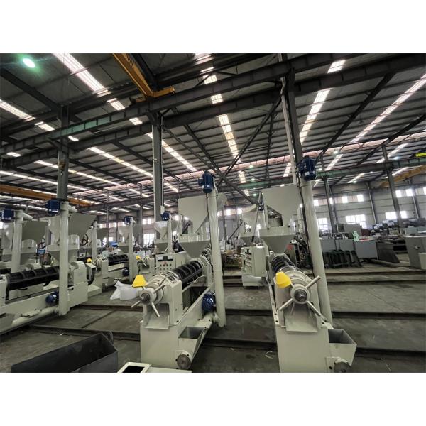 Sunflower Cold Press  Oil Press Machine Oil Extractor Automatic Control Oil Mill