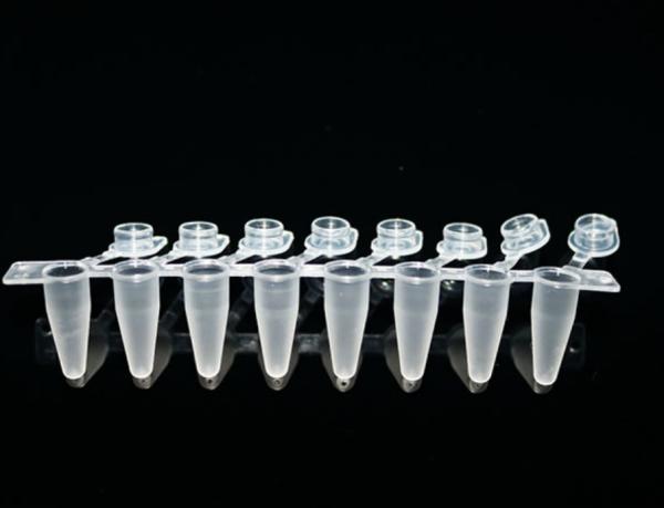 Os tubos plásticos claros do pcr da tira 0.1ml/0.2ml 8 para o Pcr proveem a tira do pcr 8