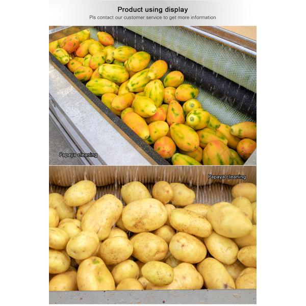 Wash Washer Washing Cleaning processing production Destoning Sealed Cover Type Peeling Machine Ginger Potato Carrot Taro Sweet potato Yam Saiko persimmon papaya horseshoe macadamia nut