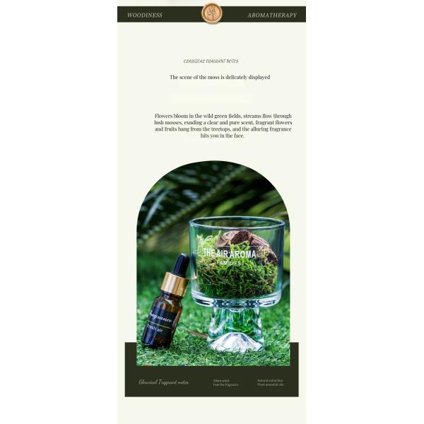 100ml Nature-Inspired Moss Diffuser Creative Scented Oil Diffuser for Keeping Air Fresh