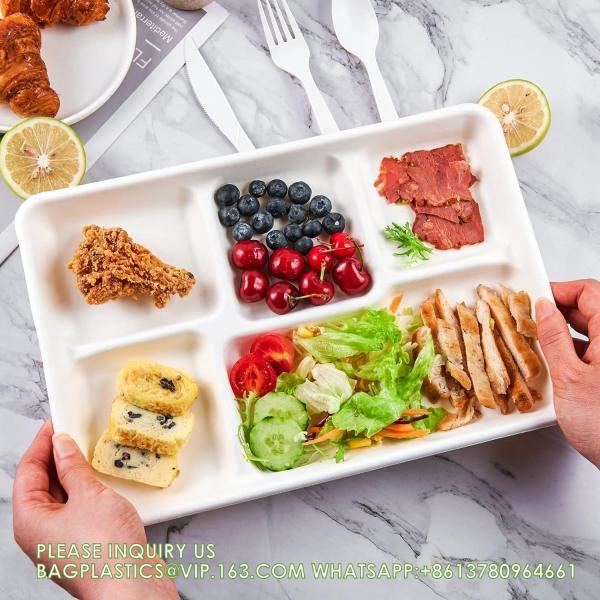 5 Compartment Plates, 125 Pack Disposable Paper Plates, Biodegradable Sugarcane Plates, Eco-Friendly School