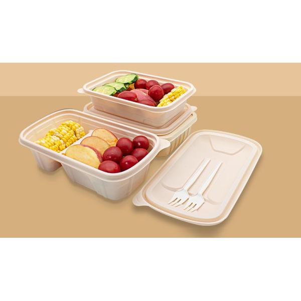 machinery for biodegradable food container disposable lunch box machine disposable food container making machine