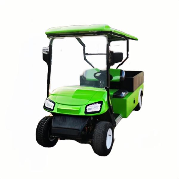 72V Green Electric Golf Cart Cargo Box Cart électrique à plateau 2 places