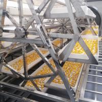 Un four plus sec de déshydrateur de mangue d'ananas de vide commercial de la micro-onde 24KW