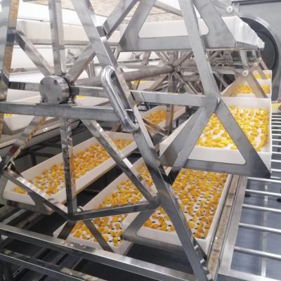 Forno mais seco do desidratador da manga do abacaxi do vácuo comercial da micro-ondas 24KW