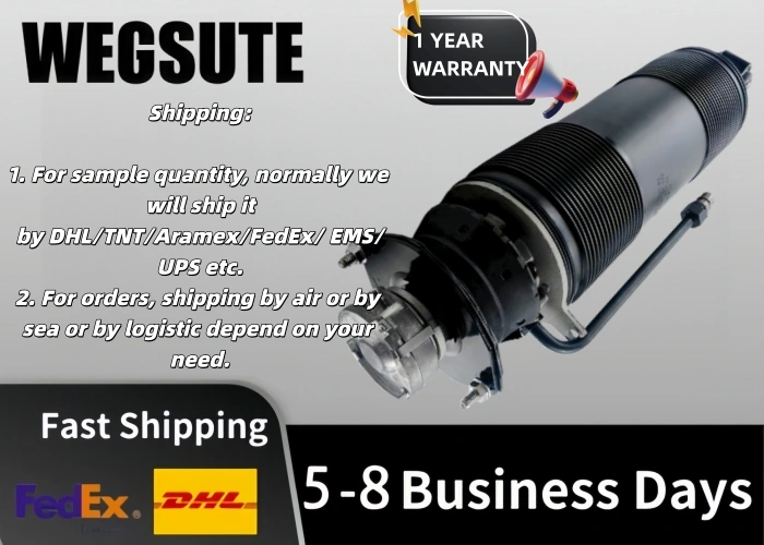 Hot Selling W230 R230 Right Rear Hydraulic Suspension ABC Shock Absorber 2303200513