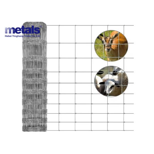 Heavy-Duty Galvanized & PVC Coated Steel Welded Wire Mesh Fence for Industrial and Security Perimeter Protection