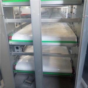 equipamento da remoção do estrume 380V, equipamento das aves domésticas da