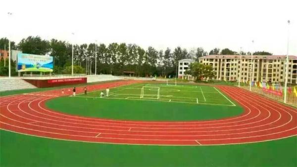 Campo/gramados falsos grama de Olive Green Playground Artificial Turf Anti-UV