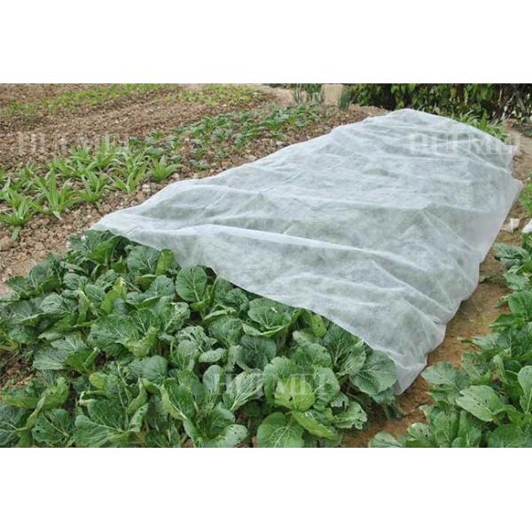 Дружелюбное ткани ландшафта полипропилена заводов не сплетенное экологическое