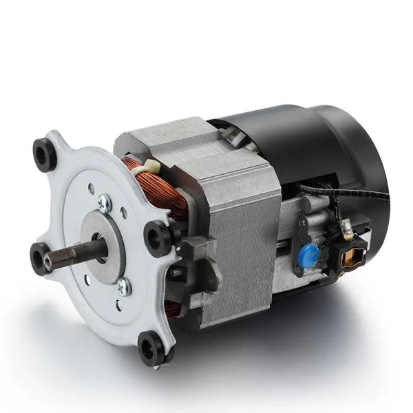 IE 1 Efficiency 110V 220V AC Treadmill Motor Machine 50/60Hz Single-Phase AC Motor