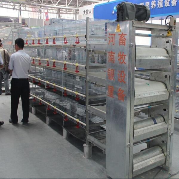 Q235 H Type Automatic Baby Chicks Cage For Layers Pullet Cage Day Old Chicks Cage