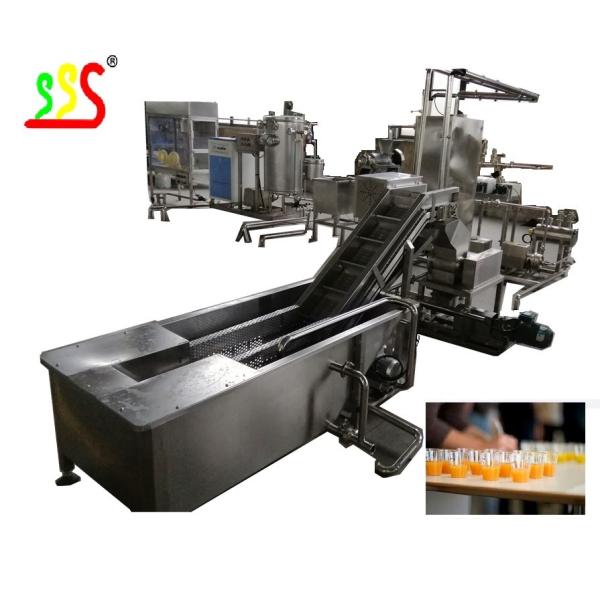 Small And Medium Fruit Production Line Less Than 1000kg/Hour