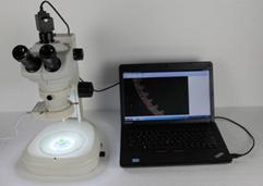 5MP Digital CCD Metallographic Image Analysis System H3000