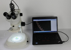 HSM-645S High Resolution Stereo Microscope with Digital Camera for Lab Measurement