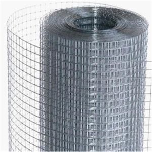 1/2x1/2 Inch 16 Gauge Electro Galvanized Welded Wire Mesh Rolls with Corrosion