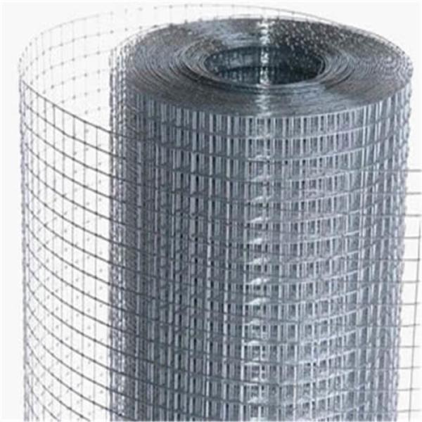 1/2x1/2 Inch 16 Gauge Electro Galvanized Welded Wire Mesh Rolls with Corrosion
