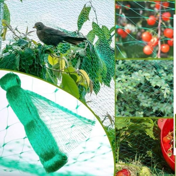 factory price pe farm plastic nets garden orchard anti bird net