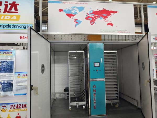 incubateur d'œufs ELT-38400