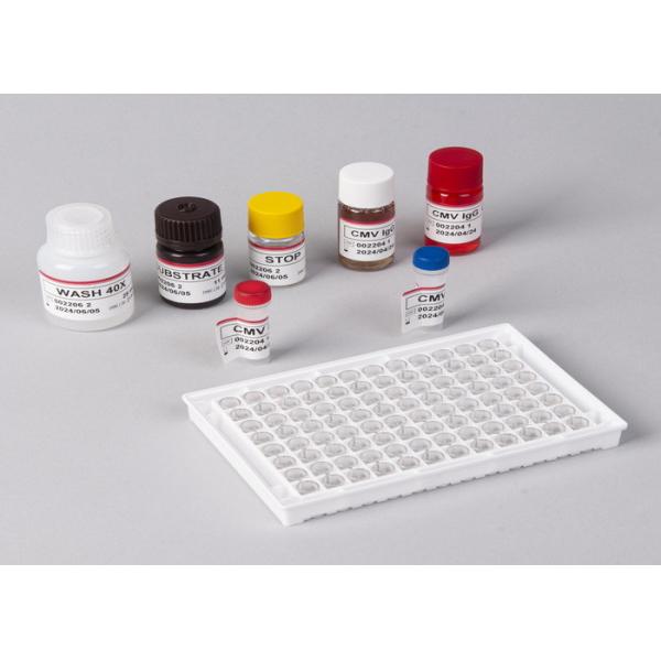 Human Interleukin 6 RUO Test Kit IL-6B-Cell Stimulatory Factor 2 BSF-2 IFNB2