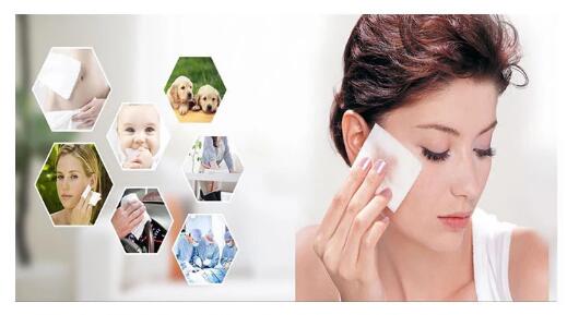 Mini Portable Travel Skin Cleansing Wipes Spunlaced Nowoven 40 GSM Pack In Tube