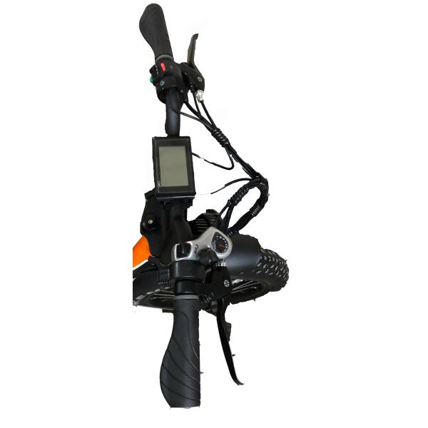750W Brushless Motor Folding Fat E-Bike with 20inch Tire Big Power and Compact Size