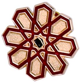 Custom Die-Struck Lapel Pin for Trade Shows and Business Conferences