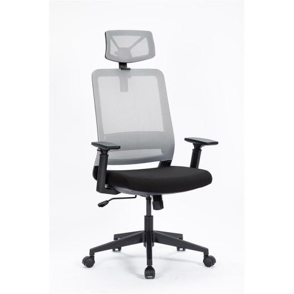 ALINUNU Economic Modern Office Chair with Headrest and 8939 Molded Foam Excellent