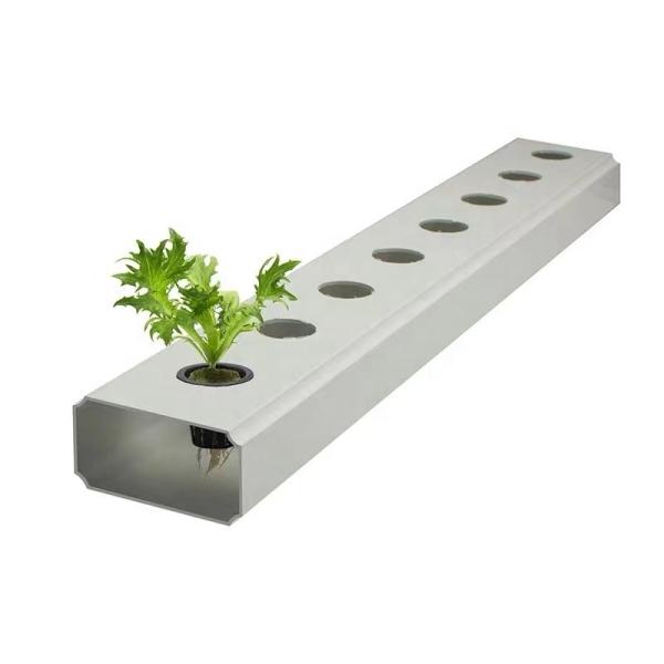Chaîne hydroponique de tuyaux en PVC de 2 mètres pour la culture de légumes et de fruits en serre