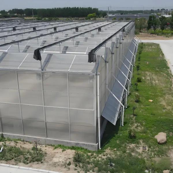 Strong type greenhouse for plants greenhouse Polycarbonate greenhouse for sale